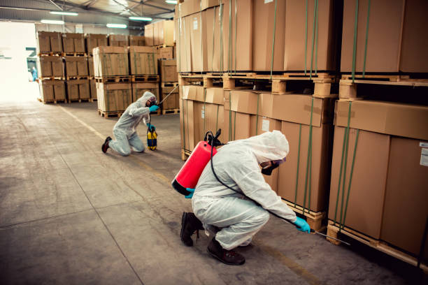 Best Wasp Removal Services  in Etowah, TN