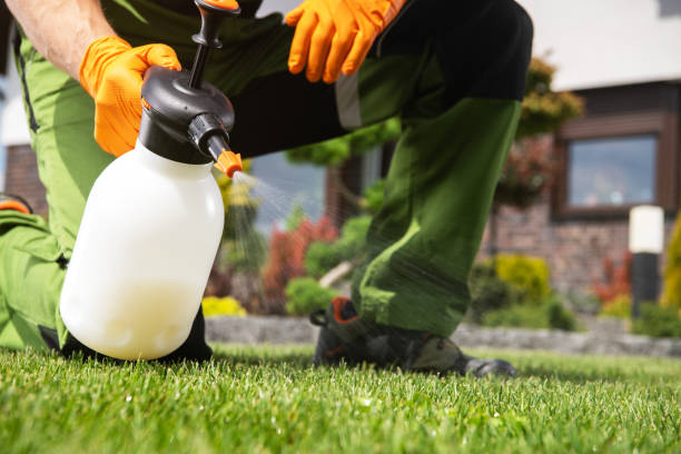 Best Affordable Pest Control Services  in Etowah, TN