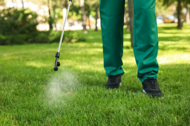 Best Emergency Pest Control  in Etowah, TN