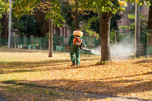Best Affordable Pest Control Services  in Etowah, TN