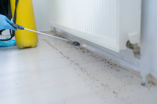 Best Pest Control Near Me in Etowah, TN