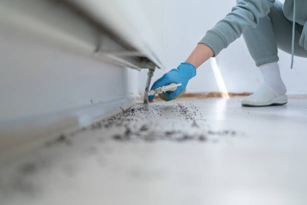 Reliable Etowah, TN Pest Control Solutions